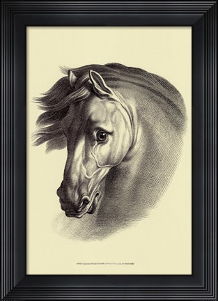 Framed Equestrian Portrait I Print