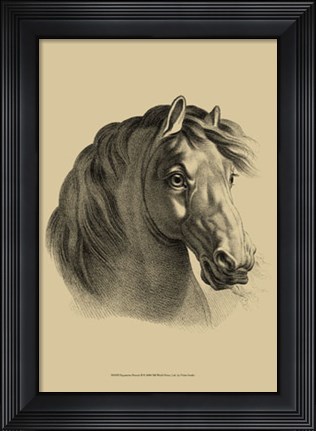 Framed Equestrian Portrait II Print