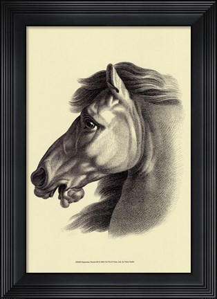 Framed Equestrian Portrait III Print