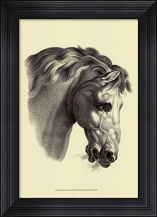 Framed Equestrian Portrait IV Print