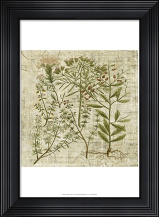 Framed Garden Verses I Print