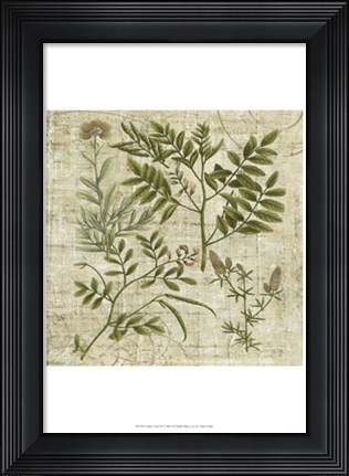 Framed Garden Verses II Print