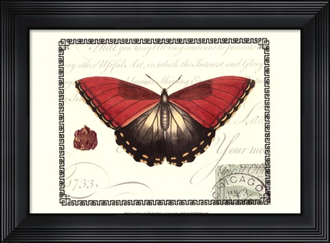 Framed Butterfly Prose I Print
