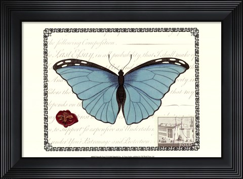 Framed Butterfly Prose IV Print