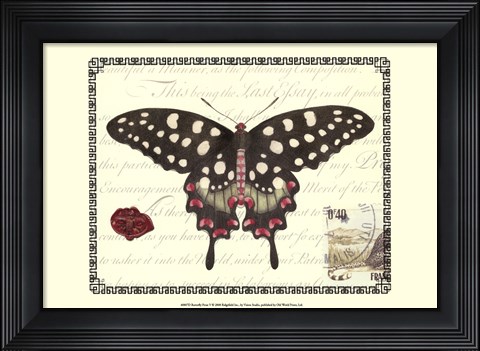 Framed Butterfly Prose V Print