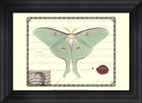Framed Butterfly Prose VI Print
