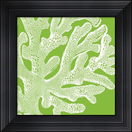 Framed Saturated Coral II Print