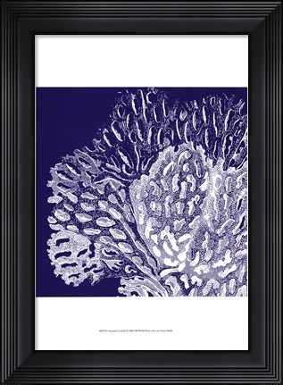 Framed Saturated Coral III Print