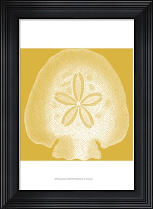 Framed Saturated Shells I Print