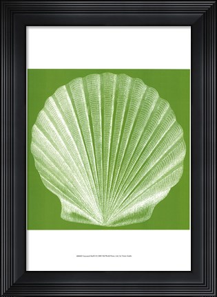 Framed Saturated Shells II Print