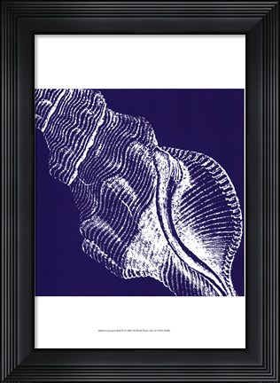 Framed Saturated Shells III Print
