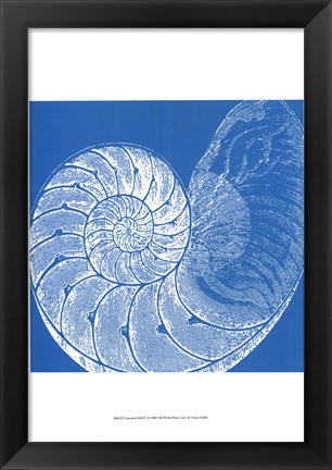 Framed Saturated Shells IV Print