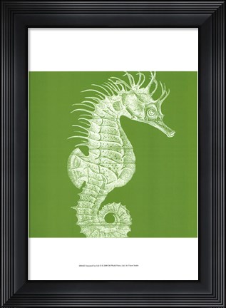 Framed Saturated Sealife II Print