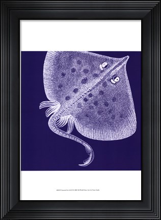 Framed Saturated Sealife III Print