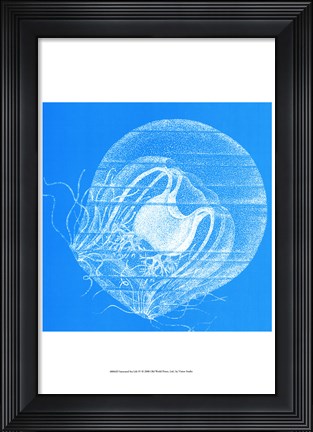 Framed Saturated Sealife IV Print