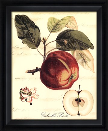 Framed Custom Tuscan Fruits I (AO) Print
