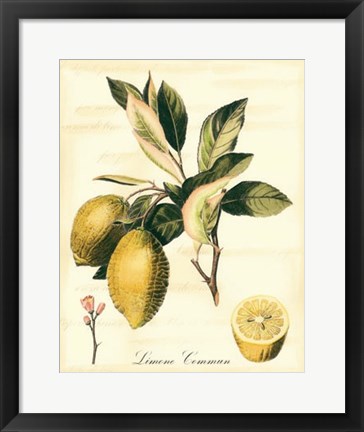 Framed Custom Tuscan Fruits II (AO) Print