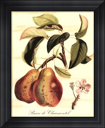 Framed Custom Tuscan Fruits IV (AO) Print
