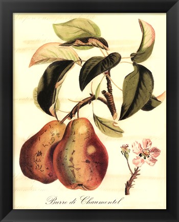 Framed Custom Tuscan Fruits IV (AO) Print