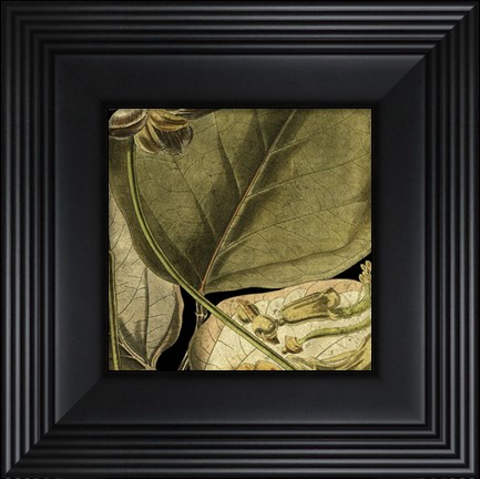 Framed Tranquil Tropical Leaves I Print
