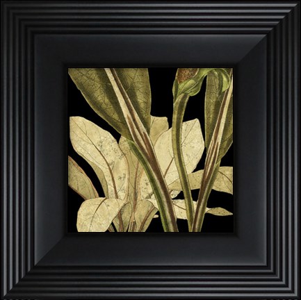 Framed Tranquil Tropical Leaves V Print