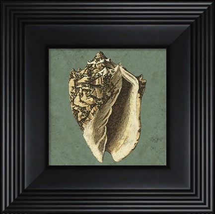 Framed Oceans Treasure I Print