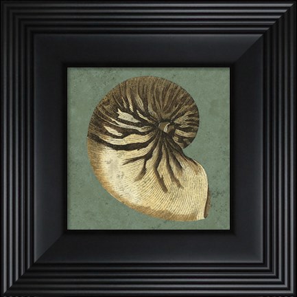 Framed Oceans Treasure III Print
