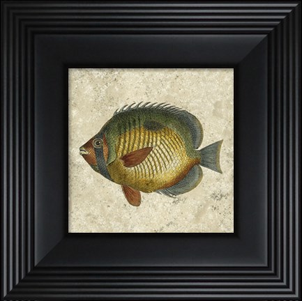Framed Butterfly Fish I Print