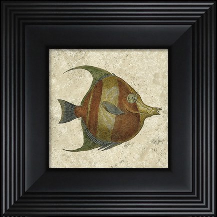 Framed Angel Fish II Print