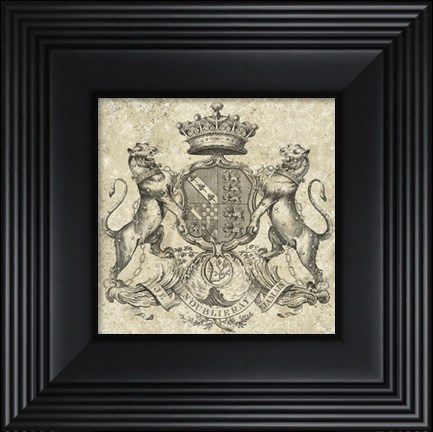 Framed Heraldry IV Print
