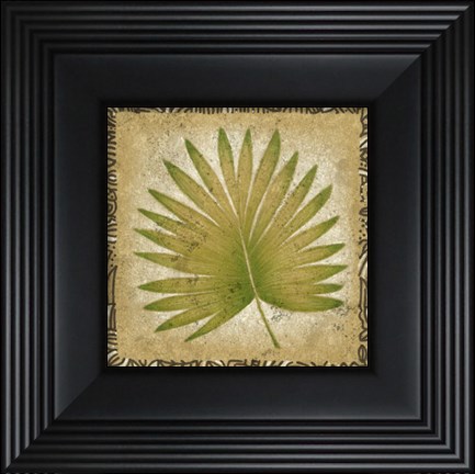 Framed Exotic Palm Leaf II Print
