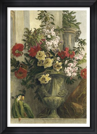 Framed From the Garden Print