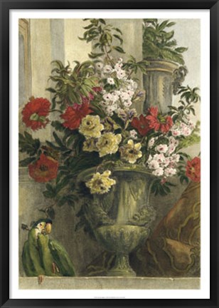 Framed From the Garden Print