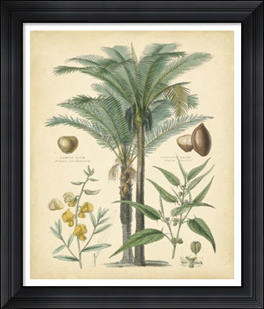 Framed Fruitful Palm I Print