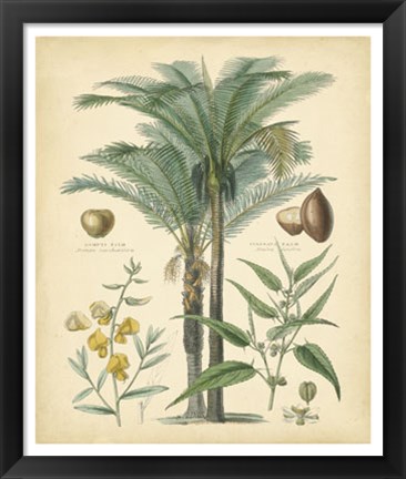 Framed Fruitful Palm I Print