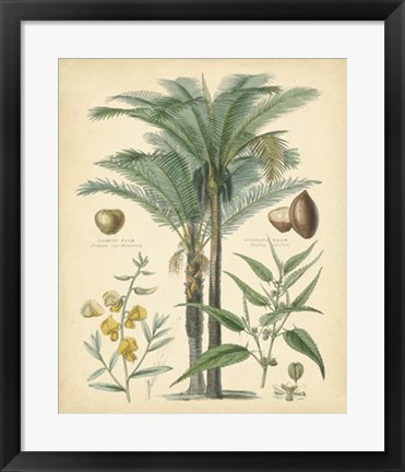 Framed Fruitful Palm I Print