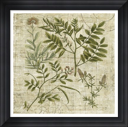 Framed Garden Verses II Print