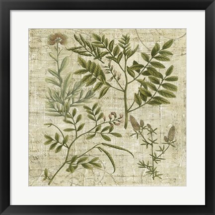 Framed Garden Verses II Print