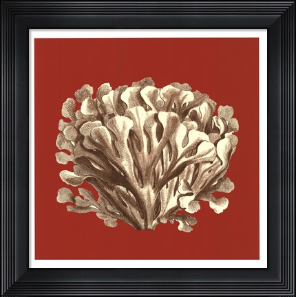 Framed Coral on Red III Print