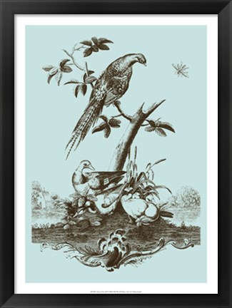 Framed Avian Toile III Print