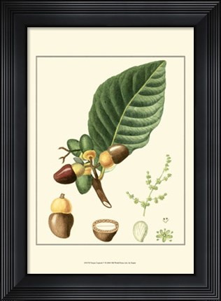 Framed Tropicals V Print