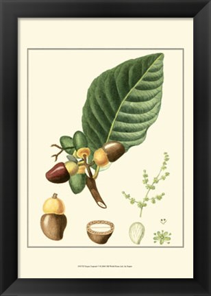 Framed Tropicals V Print