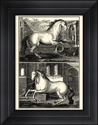 Framed Galloping Horses II Print