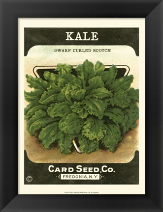 Framed Kale Print