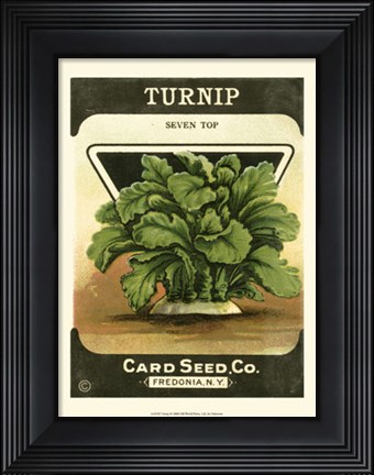 Framed Turnip Print