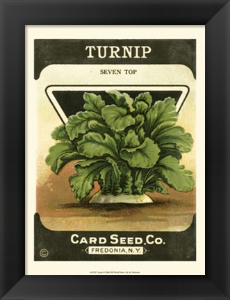 Framed Turnip Print