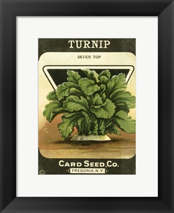 Framed Turnip Print