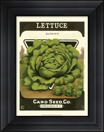Framed Lettuce Print