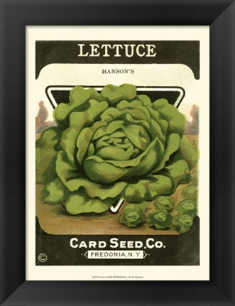 Framed Lettuce Print