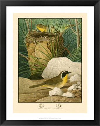 Framed Maryland Yellow-Throat Print